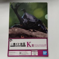 世界昆蟲博物館 一番賞 K賞 透明文件夾 & 貼紙套裝 獨角仙 AA09267_A