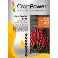 Benih cili api Bara King F1 HYBRID