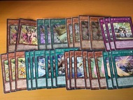 遊戲王 黃金櫃 黑魔女 師弟