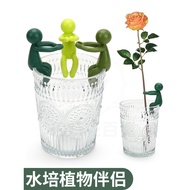Hydroponic Plant Growth Companion Fuzheng Support Branch Desk Decoration Fresh Cut Green Dill Garden