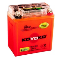 KOYOKO YB3L-BS Battery Nanogel