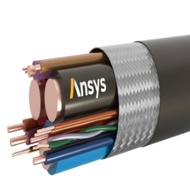 ANSYS EMA3D Cable/Charge v2025  - Windows (64-bit)