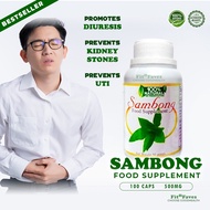 Sambong Capsule Natural Food Supplement Kidney Stones & UTI Promotes Diuresis Herbal Organic Safe