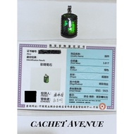 Ammolite Pendant (with Cert)