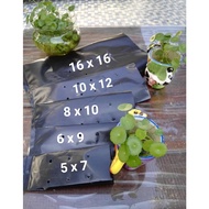 (Pcs) Polybag (16 X 16) / Nursery Plantation Plastic / Beg Plastik Semaian Benih / Polibeg Fertigasi
