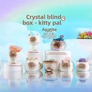 Animal PAL Crystal Stone Blind Box 2.0 Series Girls Decorative Desktop Gifts Cute Animal Hearts Resi