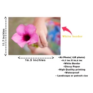 12R/A3 size WATERPROOF photo print ( White Border)