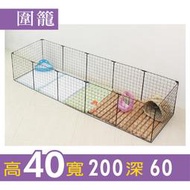 圍籠 高40 寬200 深60 狗籠 兔籠 天竺鼠 三線鼠 不含裡面擺設 狗窩 飼料 玩具 非白鐵 鐵網片
