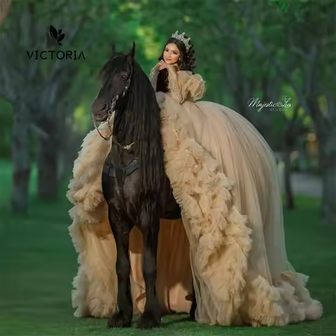 Fanshion Champagne Tulle Ruffels 15 Dress Quinceanera 2024 Ball Gown Long Sleeve Quince Dress Corset