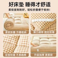 Seahorse Queen Velvet Mattress Cushion Home Winter Thickening Student Dormitory Single Milk Velvet