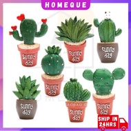 Cute Fridge Magnet Plant Fridge Magnet Miniature Fridge Magnet Cactus Magnet Doorgift Present (ABRM-