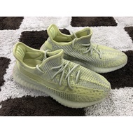 Yeezy Static Reflective Antlia