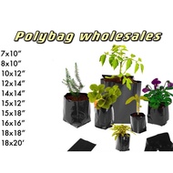 [1 KG] CLEARANCE Black UV Polibag Hitam Nursery Plastik Benih Seed Poly Polybeg plant polybag 种植袋 黑袋 家园种菜