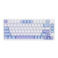 ROYAL KLUDGE WIRELESS KEYBOARD (คีย์บอร์ดไร้สาย) RKM75 SILVER SWITCH RGB EN/TH - TAROMILK