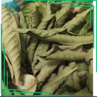 Dried Guava Leaves (500gr)