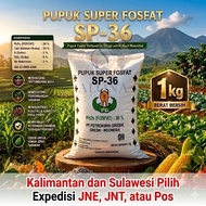 SP-36 Fertilizer 1 kg packaging. TSP-36 Fertilizer 1 kg Packaging