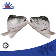 FROZEN SALMON HEAD CLEANED 三文鱼头 - GST FRESH MART