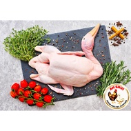 Ah Shui Fresh Poultry Supplier [Fresh Duck] Large Size 2.2kg to 2.3kg