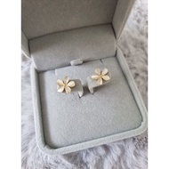 Sweet daisy Earrings