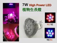 7W 植物生長燈 植物燈 LED 開花植物 多肉植物 開花 結果 育苗 水耕 魚菜共生