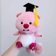 現貨❣️ Loopy 畢業公仔 正品公仔‼️  loopy花束 loopy捲髮器 loopy公仔花束  loopy現貨  ZANMANG LOOPY 小海狸露比  幼稚園畢業  畢業公仔