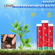 Lewis Home Gardening Universal Slow-Release Tablet Organic-Fertilizer Plant Growth Nutrition Tablets
