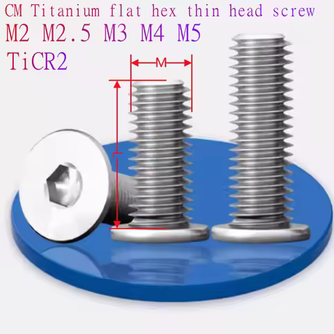 10PCS CM M2 M2.5 M3 M4 M5 TA2 Titanium Hex Hexagon Socket Ultra Thin Flat Wafer Head Allen Bolt Scre