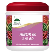YI NONG Hibor 60 高硼60 / boron / Chelated Micronutrients / Trace Element (TE) / 微粒螯合微量元素肥料  1 kg