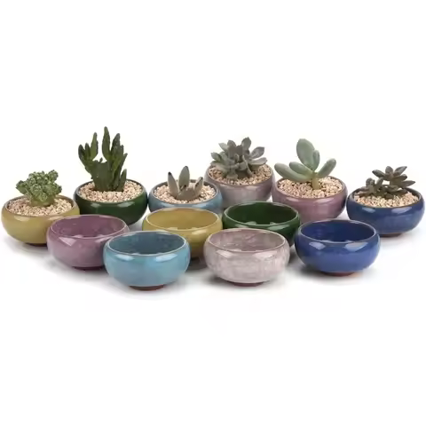 2.5 Inch Small Ceramic Succulent Planter Pot with Drainage Hole Set of 12 Ice Crack Glaze Plant Cont