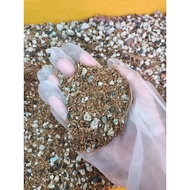 [ SG READY STOCK ] 1kg Coco Peat Succulent soil cactus soil peat and stones mix medium potting mix s