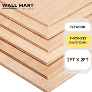 Plywood 2x2ft / free cutting / thickness 3/5/9/12mm / custom cut available