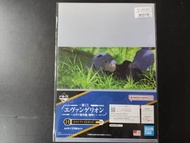 Others - 一番賞H賞 新世紀福音戰士 A4文件套週邊文具 No.4 綾波麗 [平行進口]