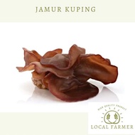 Jamur Kuping Basah Segar 250gr 500gr 1kg