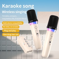 DS-K2 Karaoke Companion Bluetooth 5.3 Wireless Dynamic Microphone RGB Light KTV DSP Mixer System Typ