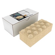 Brightwell Aquatics:  Xport NO3 Dimpled Brick (9"x4.5"x2.5")