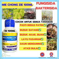 Fungisida Sistemik Pembasmi Jamur Bakteri Pada Semua Tanaman Padi Cabe Jagung Sayuran