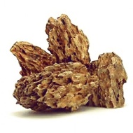 AQUARIUM ALVEOLATE ROCK ( 1kg ) Dragon Stone