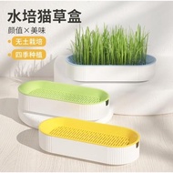 CAT GRASS PLANT KIT SET 9.2*21*4.5CM (DT883-A)