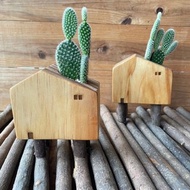 屋頂上的仙人掌(背面提供免費客製字體雷刻)