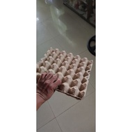 Egg Tray Carton for 30 pcs eggs