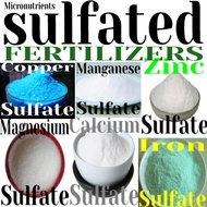 Sulfated Fertilizer: Potassium Sulfate, Copper Sulfate, Zinc Sulfate, Iron Sulfate, Ammonium Sulfate