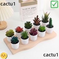 CACTU Artificial Succulent Bonsai, Cactus Succulent Fake Plants Succulent Bonsai Plants, Tabletop Pl