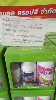 นอร์สพลัสโกล์ด ยาฆ่าหญ้าในนาข้าว อย่างดี👍👍👍นอร์สพลัส เป็นยากำจัดวัชพืช  3 พลังบวก
: วัชพืชใบแคบ เช่น ข้าวนก หญ้ากระดูกไก่
: วัชพืชใบกว้าง เช่นโสน เทียนนา หนวดปลาดุก ขี้อ้น
ปอวัชพืช ก้นบึ้ง (ถั่วลิสงนา)กกขนาก กกทราย กกสามเหลี่ยม