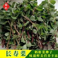 Will Seeds Amaranth Seeds Five Elements Grass Longevity Vegetables Five Prescriptions Grass Sunflowe