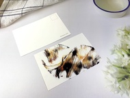 拉線畫明信片–橘子狸貓汽水