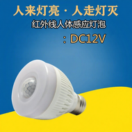 Human Induction Infrared LED Bulb 12V