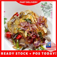 Muslim Products 500g Tanjung Dawaiian Masin Fish Shoes (saiz M) | Salted Fish | Fried Lining | Sedge