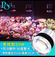 珀譽 植物太陽燈 50W