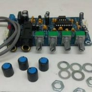 Kit Tone Control Karaoke Class D 2 Mic Tone Echo Reverb