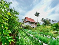 บ้านเดี่ยว 2 ห้องนอน 1 ห้องน้ำส่วนตัว ขนาด 4 ตร.ม. – ลิจิน (PONDOK IS OKE)